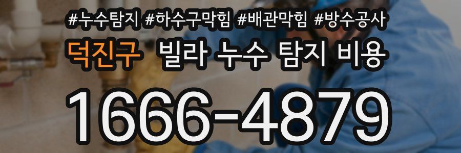 덕진구 빌라 누수 탐지 비용