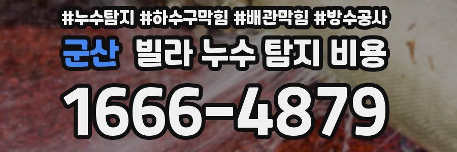 군산 빌라 누수 탐지 비용