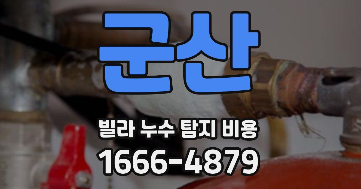 군산 빌라 누수 탐지 비용
