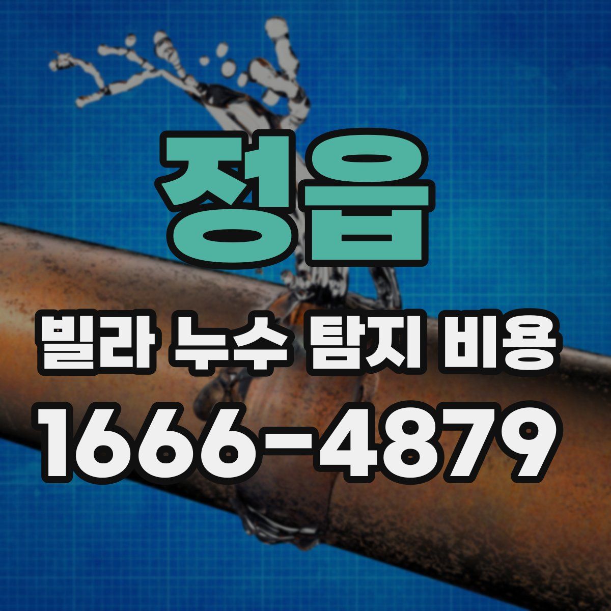 정읍 빌라 누수 탐지 비용
