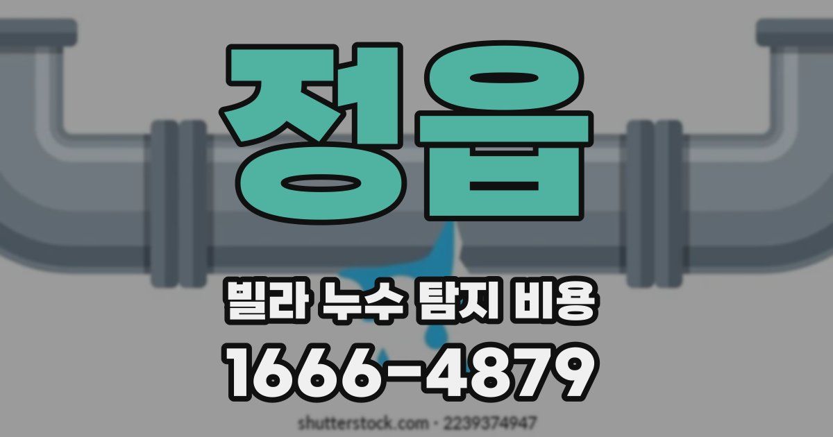 정읍 빌라 누수 탐지 비용