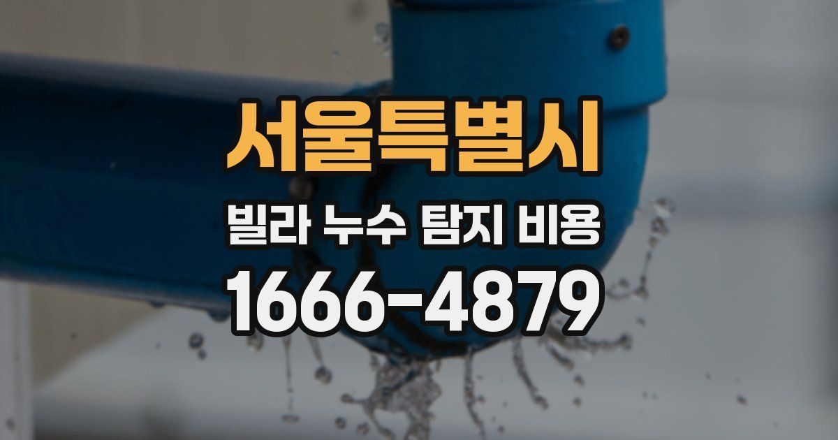 서울특별시 빌라 누수 탐지 비용