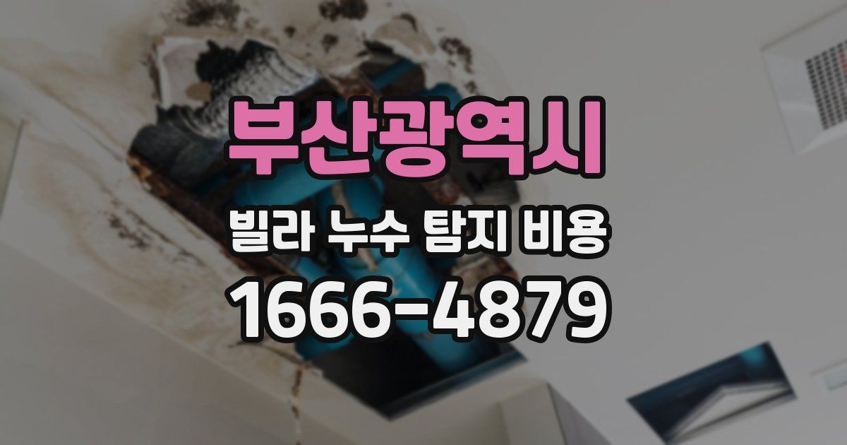 부산광역시 빌라 누수 탐지 비용