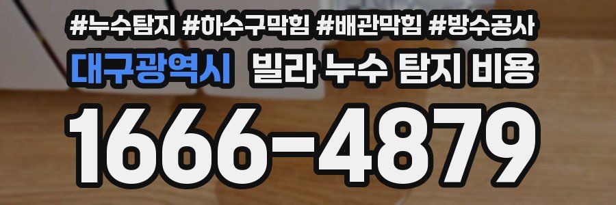 대구광역시 빌라 누수 탐지 비용