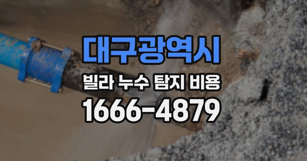 대구광역시 빌라 누수 탐지 비용