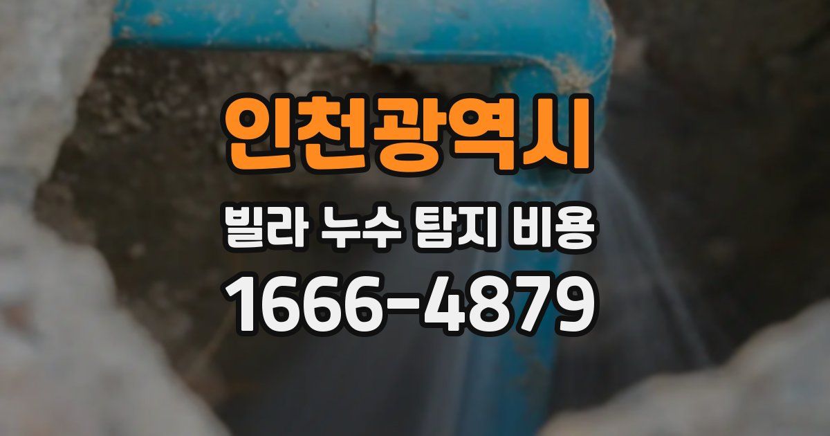 인천광역시 빌라 누수 탐지 비용