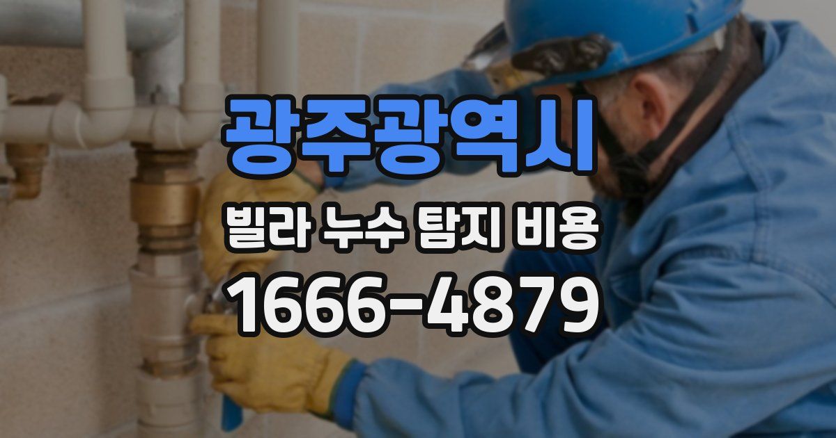 광주광역시 빌라 누수 탐지 비용