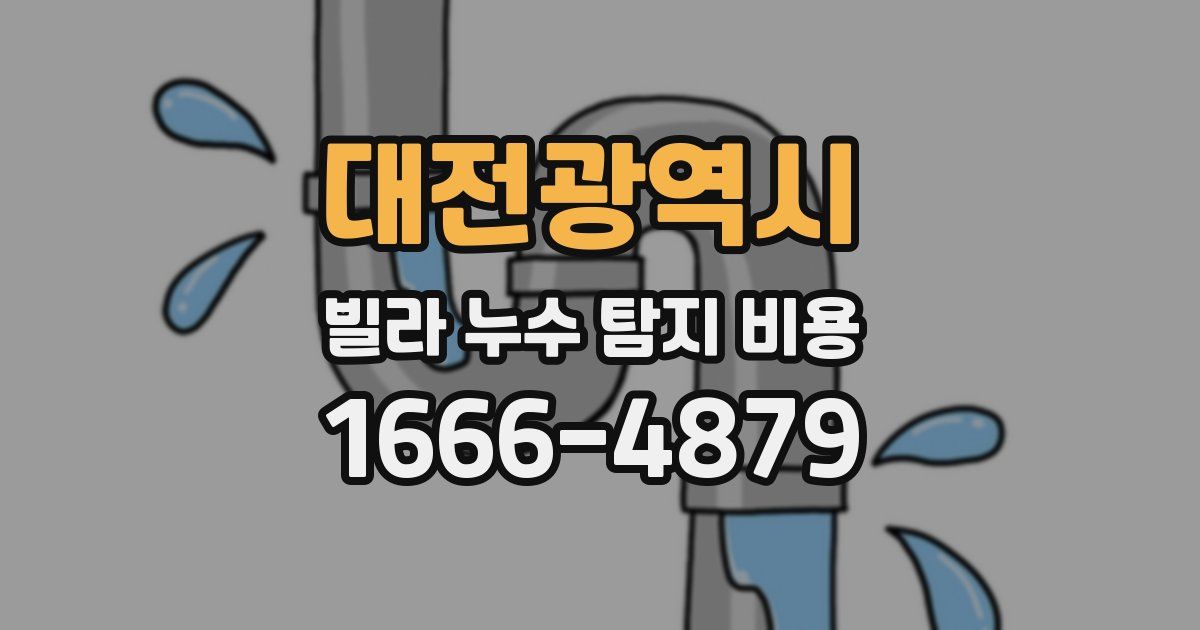 대전광역시 빌라 누수 탐지 비용