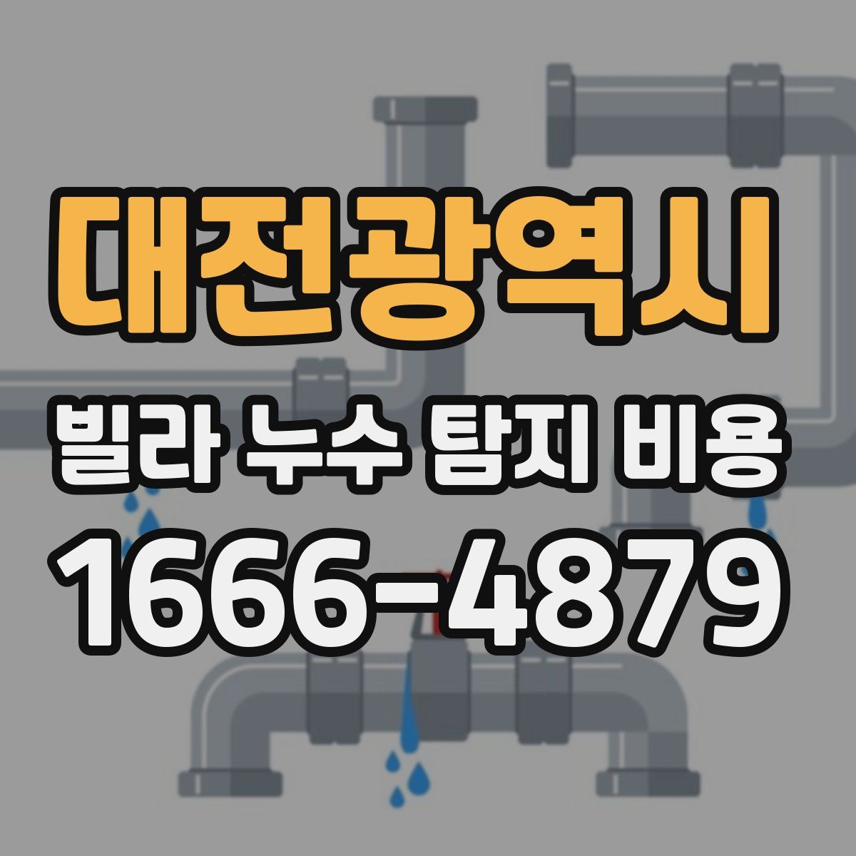 대전광역시 빌라 누수 탐지 비용