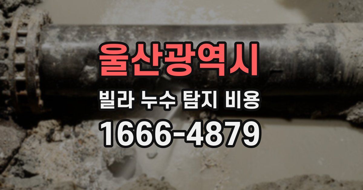 울산광역시 빌라 누수 탐지 비용
