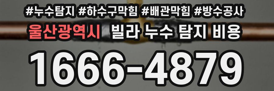 울산광역시 빌라 누수 탐지 비용