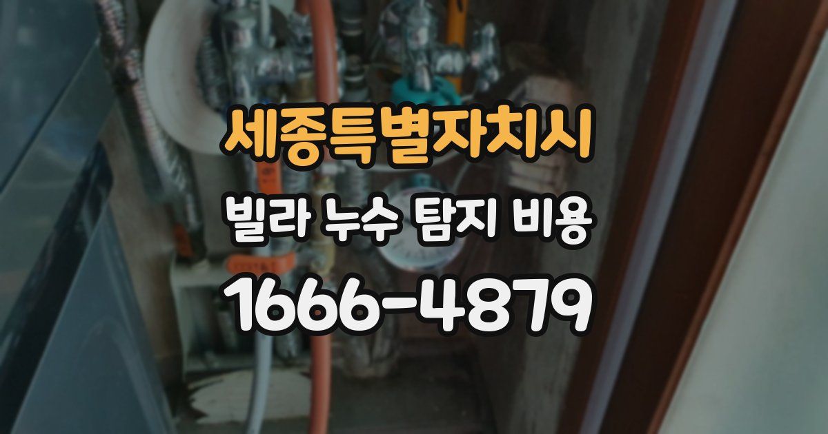 세종특별자치시 빌라 누수 탐지 비용