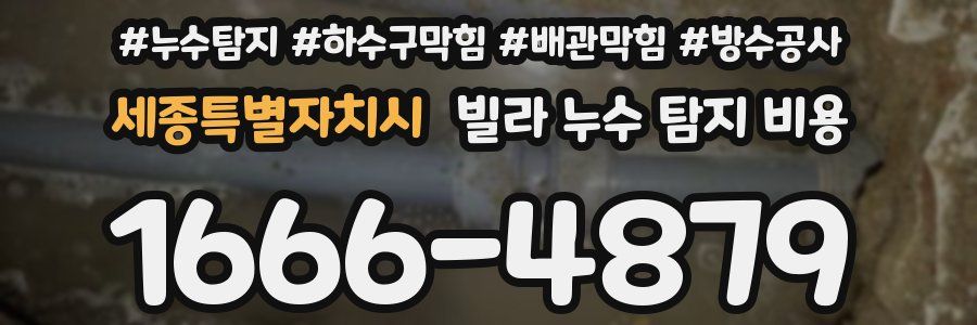 세종특별자치시 빌라 누수 탐지 비용