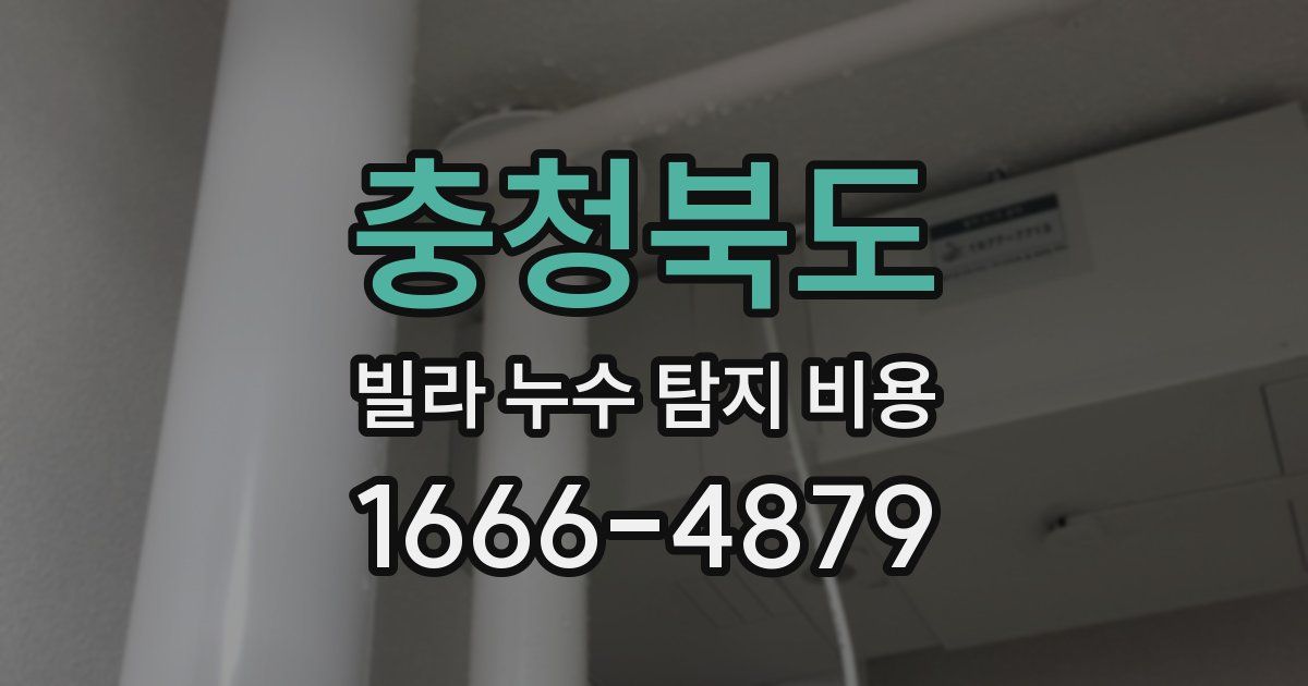 충청북도 빌라 누수 탐지 비용