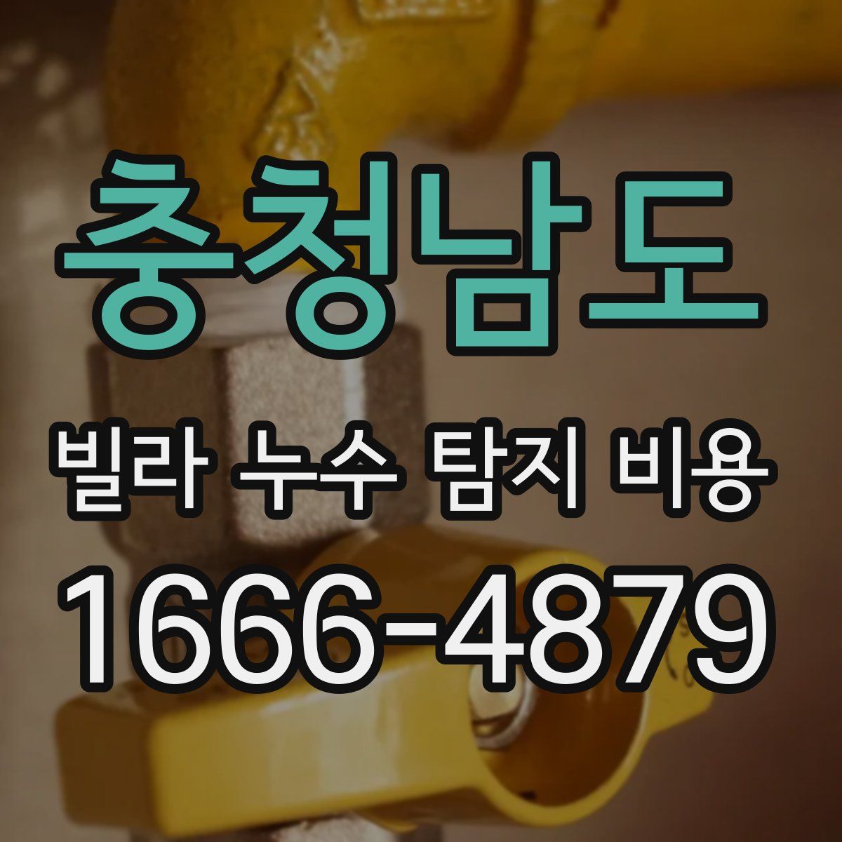 충청남도 빌라 누수 탐지 비용