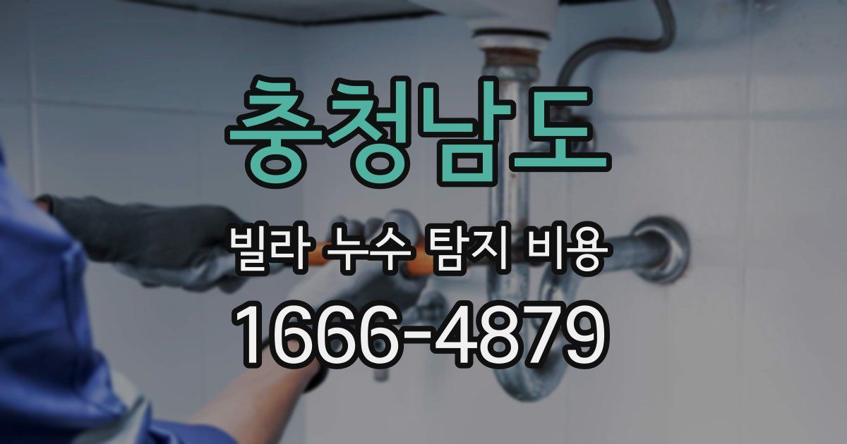 충청남도 빌라 누수 탐지 비용