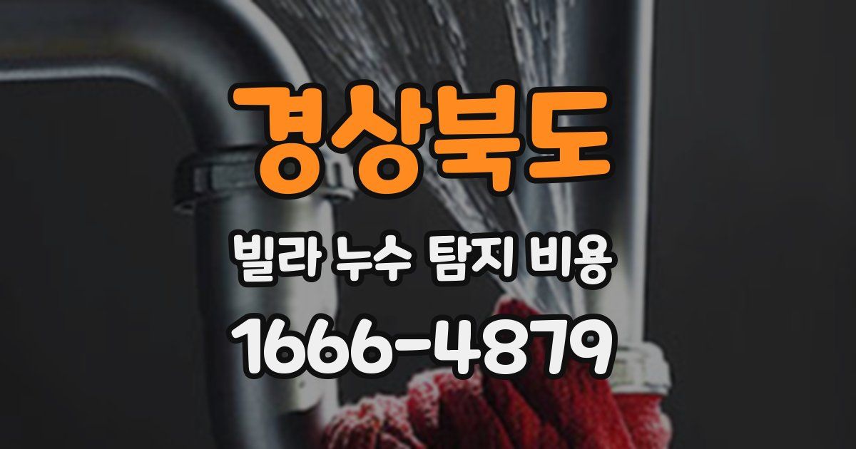 경상북도 빌라 누수 탐지 비용