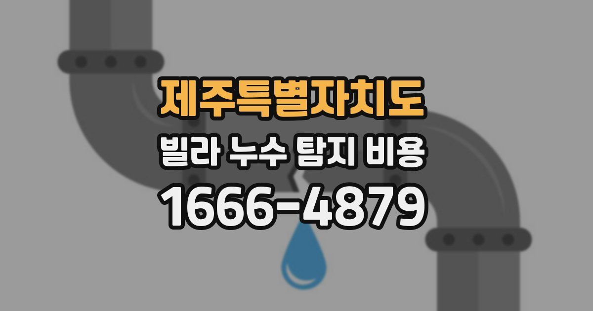 제주특별자치도 빌라 누수 탐지 비용