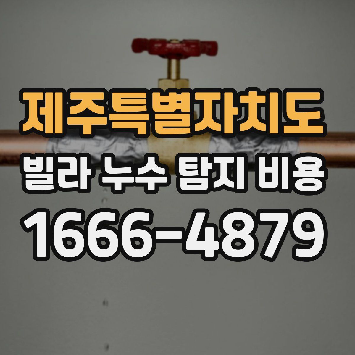 제주특별자치도 빌라 누수 탐지 비용