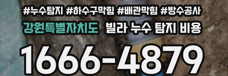 강원특별자치도 빌라 누수 탐지 비용