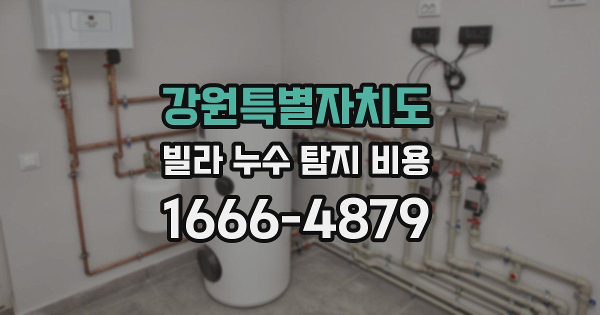 강원특별자치도 빌라 누수 탐지 비용