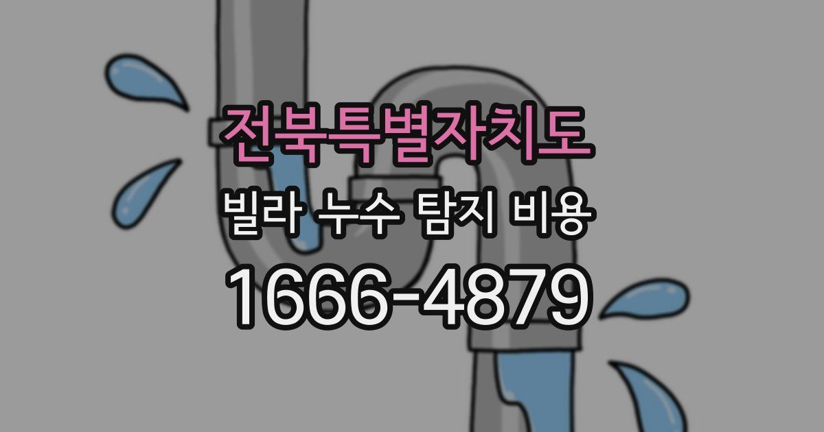전북특별자치도 빌라 누수 탐지 비용