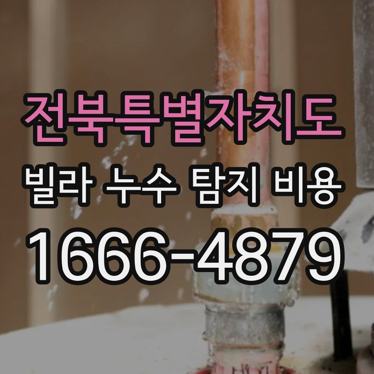 전북특별자치도 빌라 누수 탐지 비용