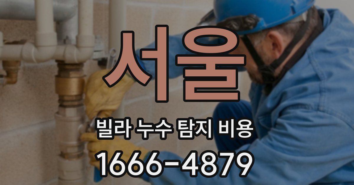 서울 빌라 누수 탐지 비용