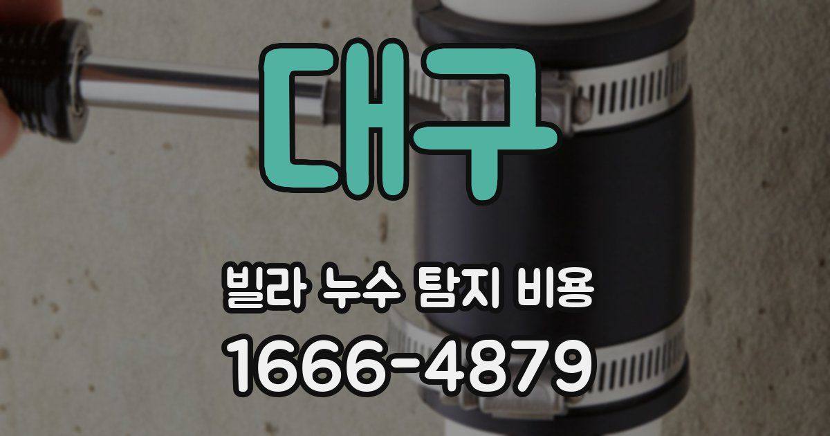 대구 빌라 누수 탐지 비용