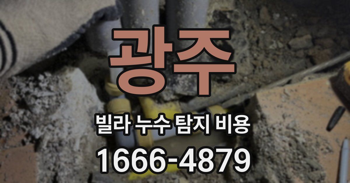 광주 빌라 누수 탐지 비용