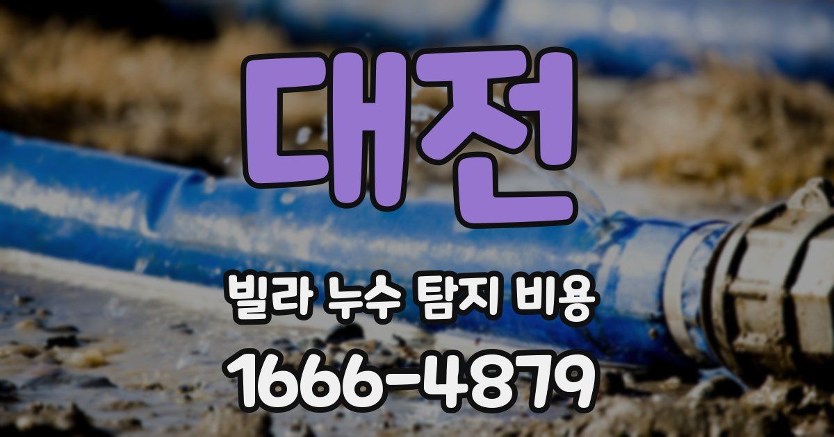 대전 빌라 누수 탐지 비용