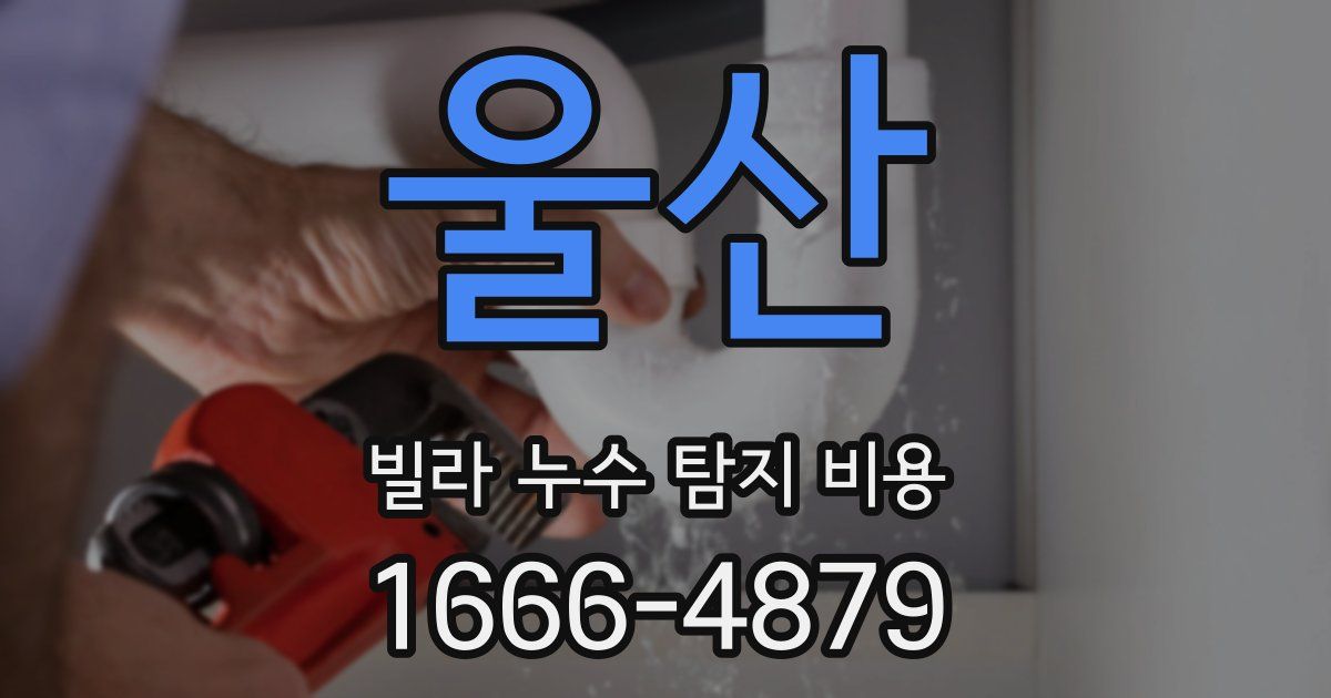 울산 빌라 누수 탐지 비용