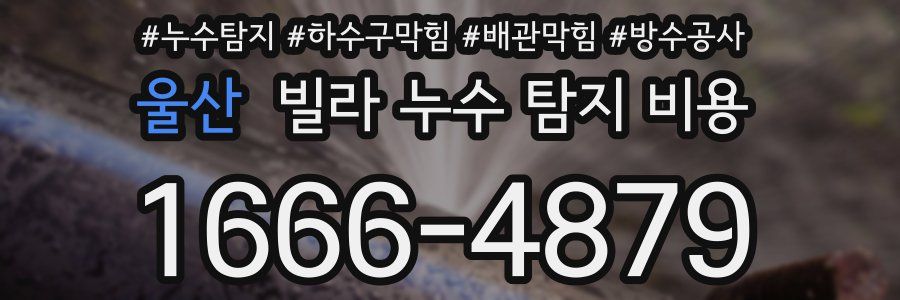 울산 빌라 누수 탐지 비용