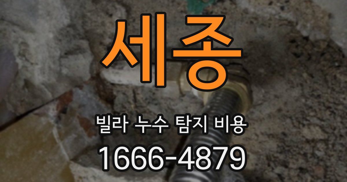세종 빌라 누수 탐지 비용