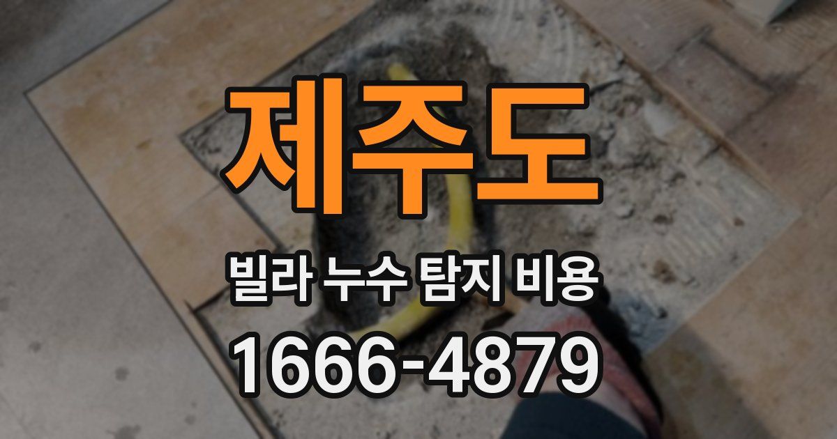 제주도 빌라 누수 탐지 비용