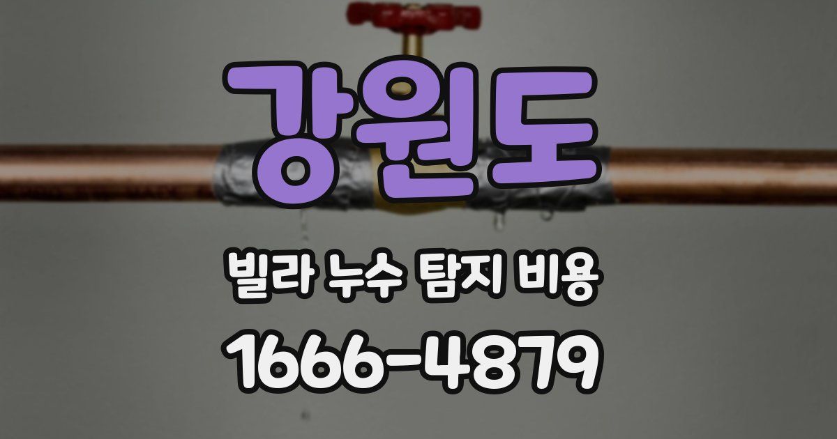 강원도 빌라 누수 탐지 비용