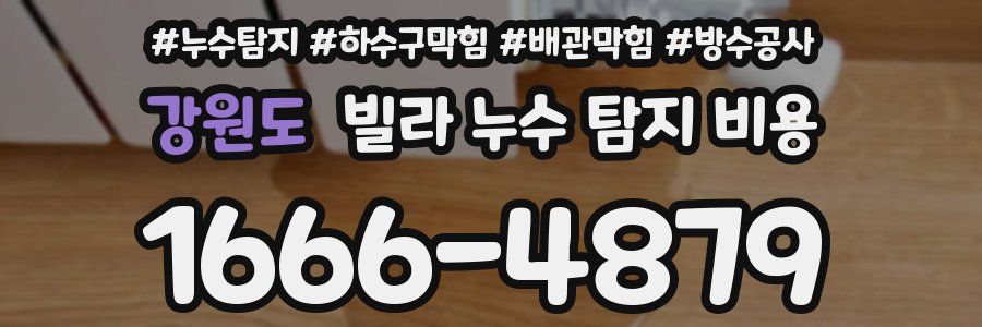 강원도 빌라 누수 탐지 비용