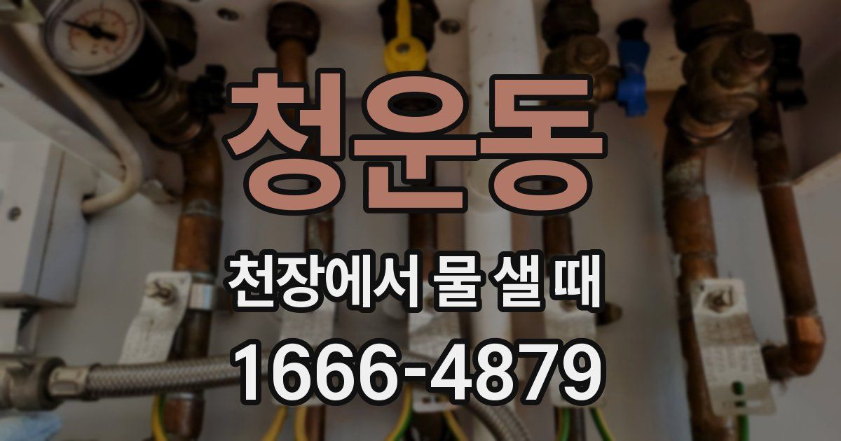 청운동 천장에서 물 샐 때