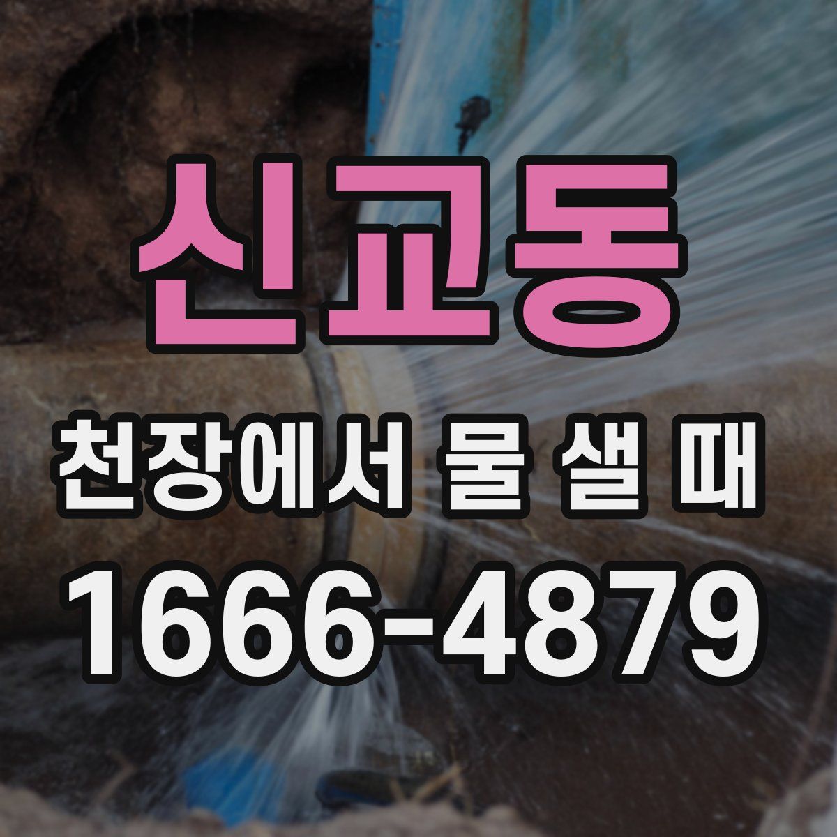 신교동 천장에서 물 샐 때