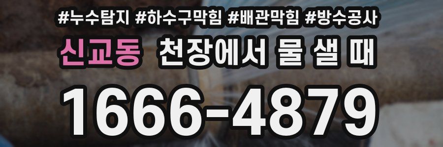 신교동 천장에서 물 샐 때