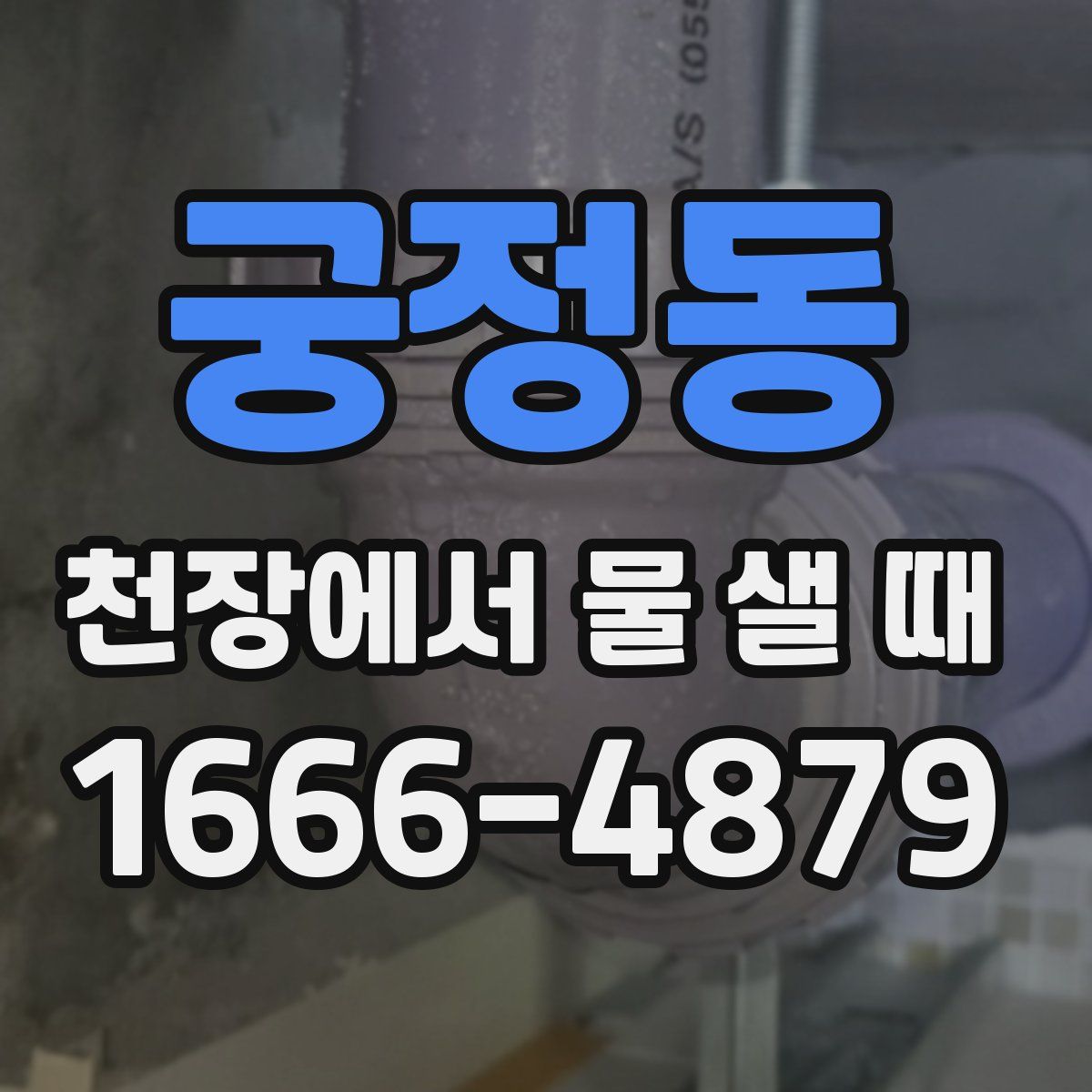 궁정동 천장에서 물 샐 때