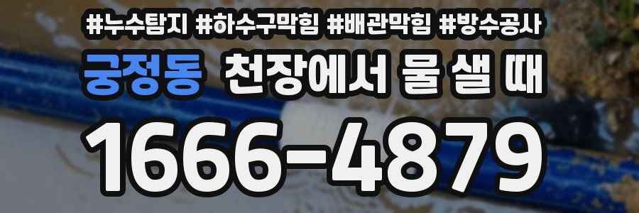 궁정동 천장에서 물 샐 때
