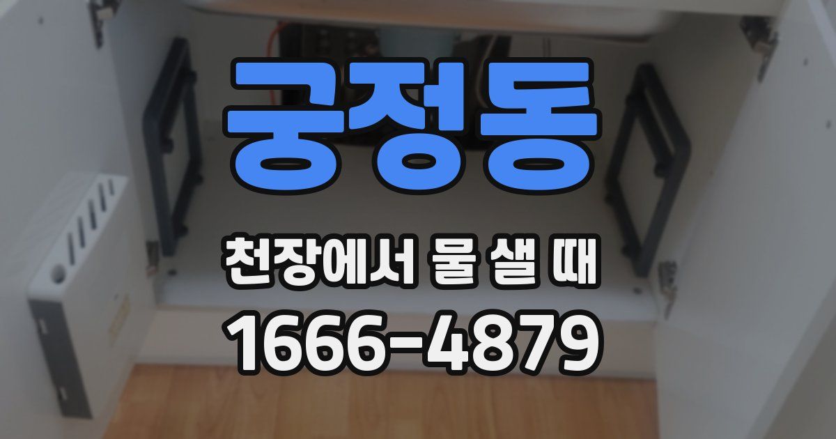 궁정동 천장에서 물 샐 때