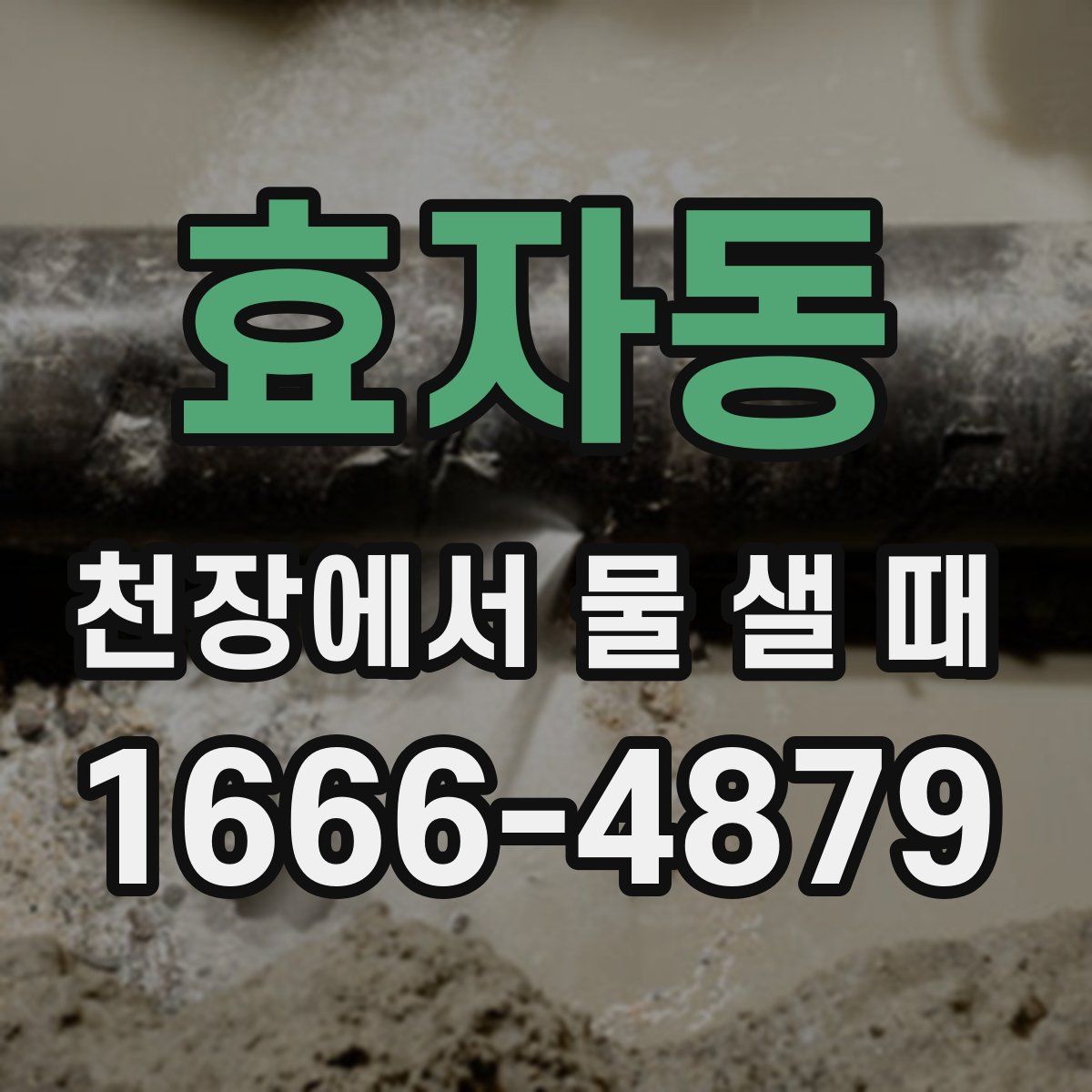 효자동 천장에서 물 샐 때