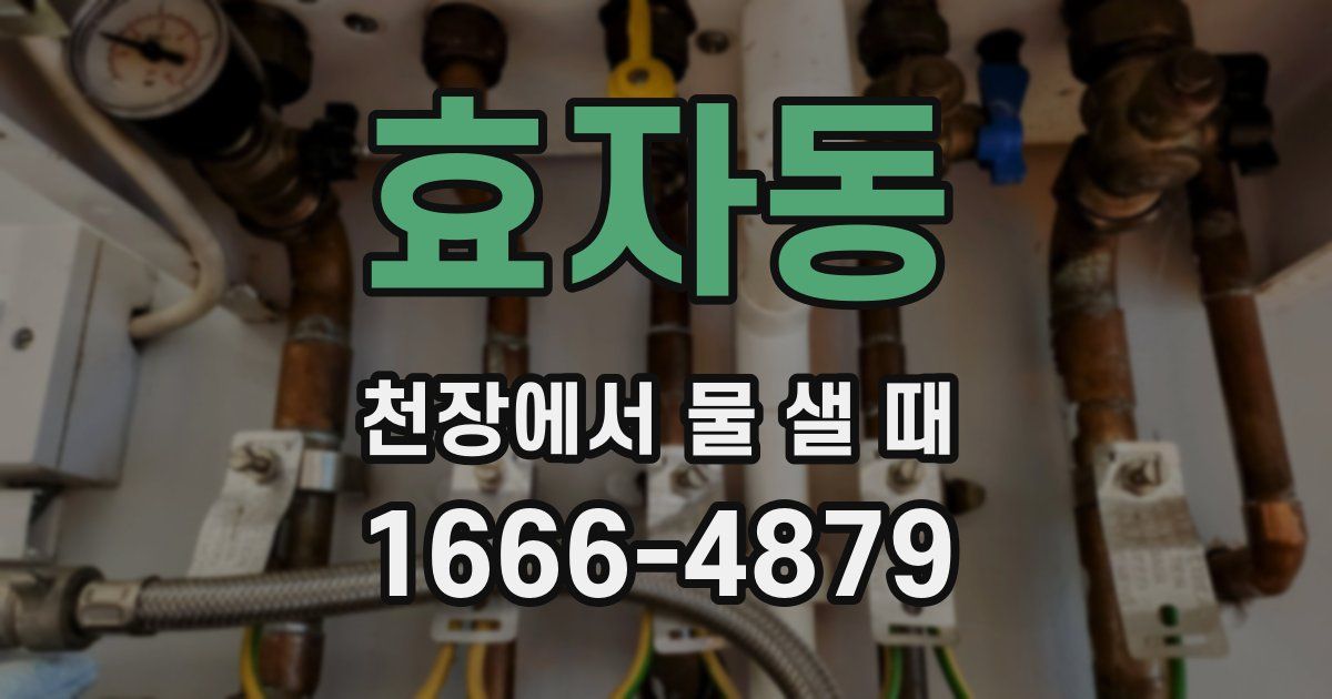 효자동 천장에서 물 샐 때