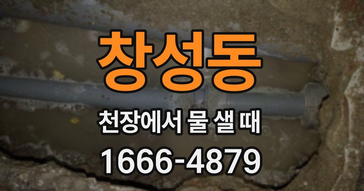 창성동 천장에서 물 샐 때