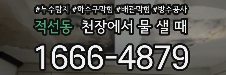 적선동 천장에서 물 샐 때
