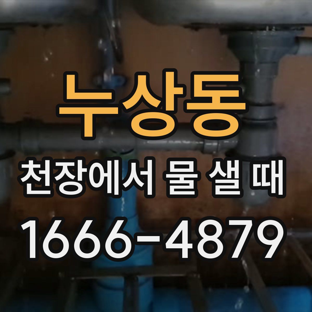 누상동 천장에서 물 샐 때