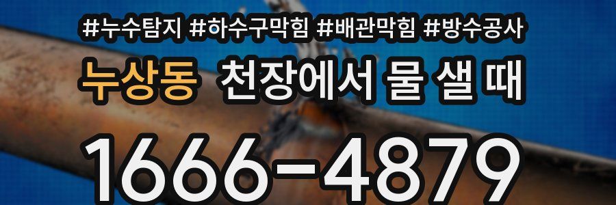 누상동 천장에서 물 샐 때