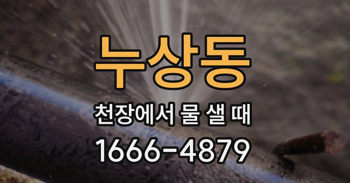 누상동 천장에서 물 샐 때